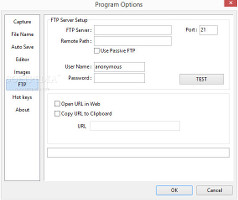 Showing the FTP settings in PicPick